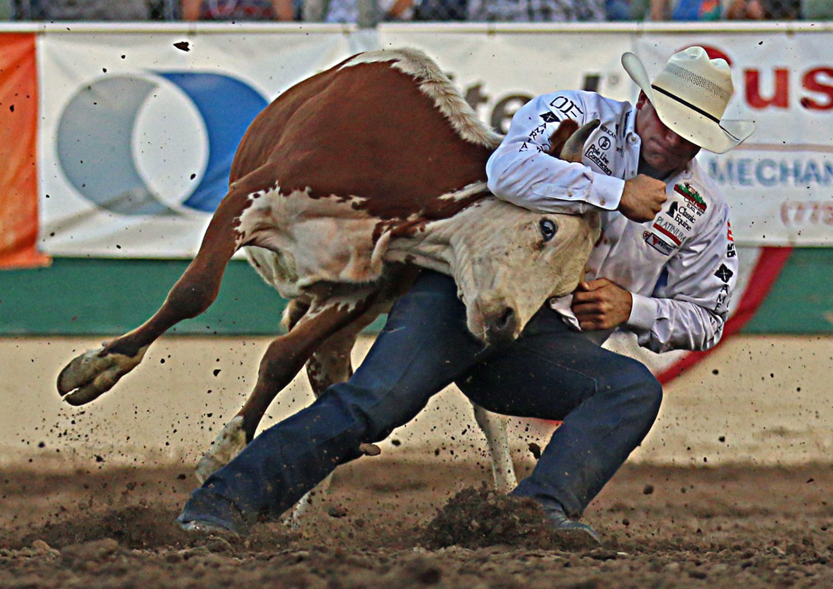 Dakota Eldridge Reno Rodeo steer wrestling
